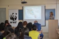 Նյութի նկարը